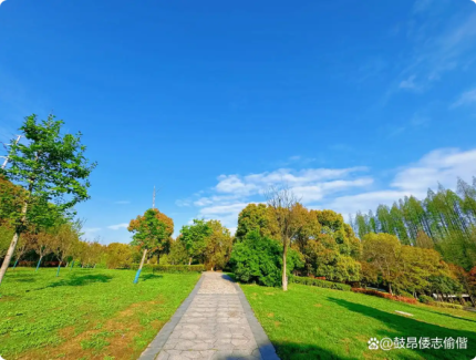 新疆智慧云采项目管理有限公司2026年新疆智慧云采建材类供应商入围项目招标