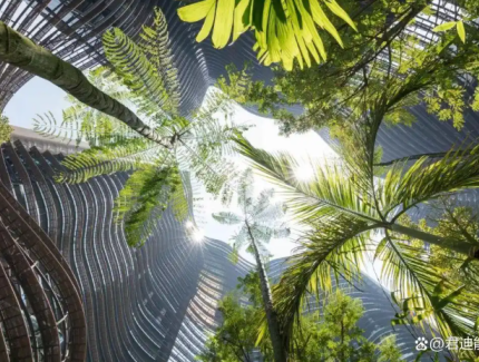 新疆绿色建筑新规落地，君迪科技如何赋能西北绿色建筑高质量发展